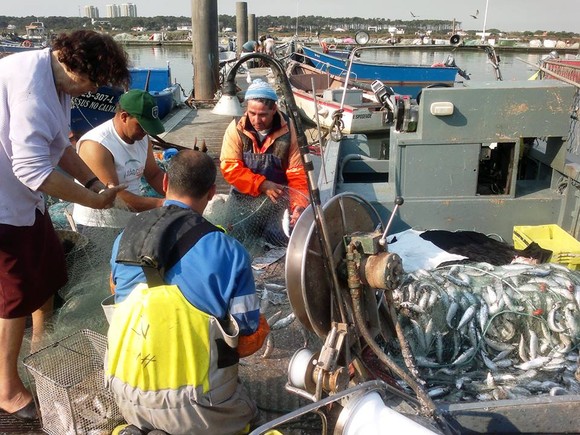 967554_584453118284428_850480122_n