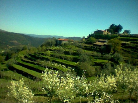 250434_212649275442079_100000910237717_620880_6254