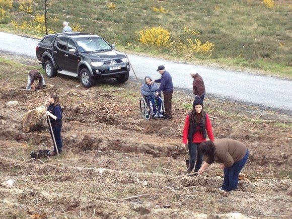 plantacao_s_jorge_2013_