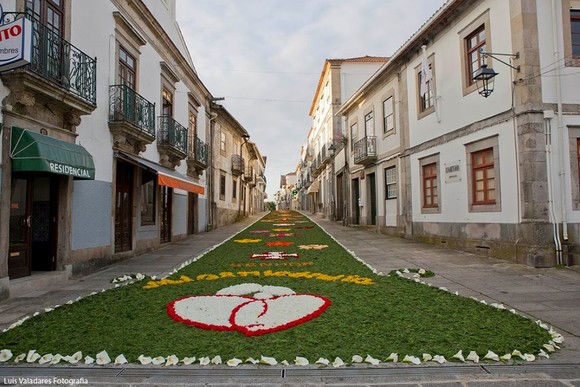 13238986_1023937417660787_1184135568614307295_n