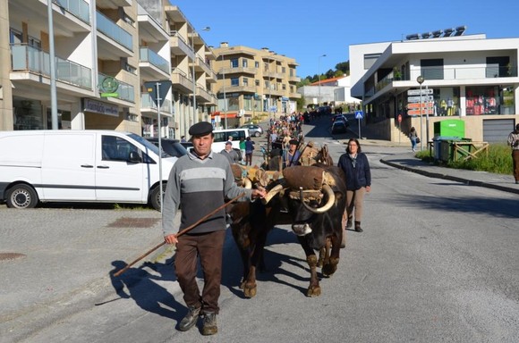 Lavoura Tradicional promoveu convívio intergeraci