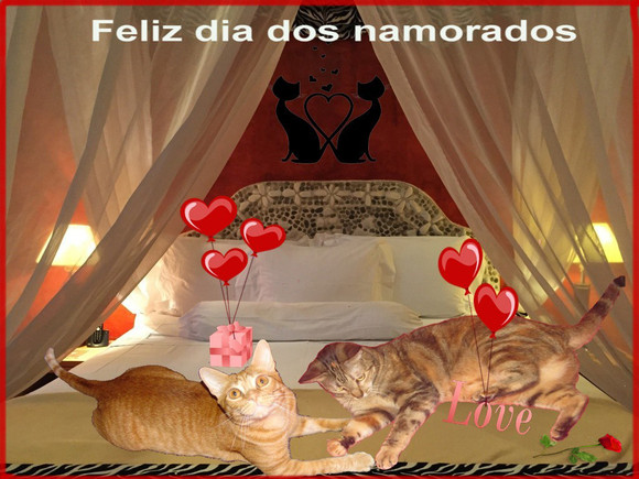 gatosnamorados.jpg