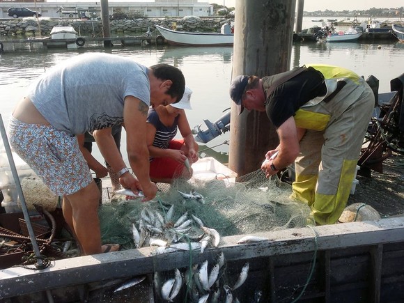 1278442_584453078284432_1636506908_n