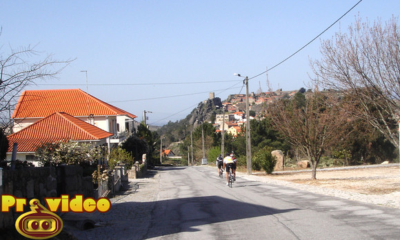 cavaca 16
