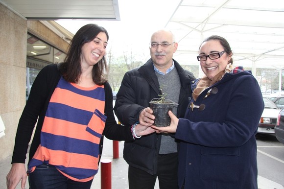 Oferta de sobreiros a população 1