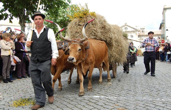 Riba de Mouro 06 (Large)