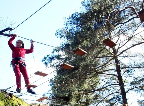 6 - P3243159 - Cópia