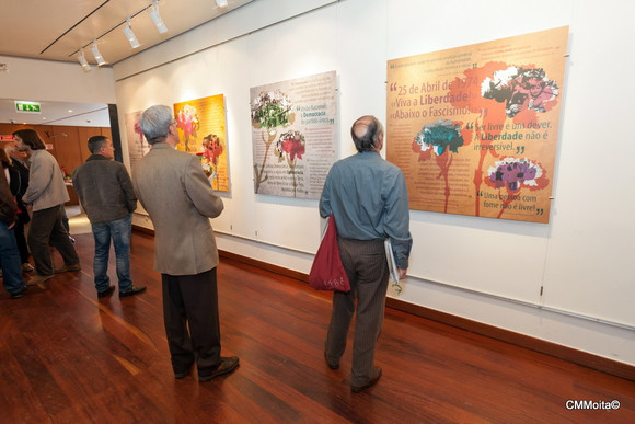 Exp Serviço Público em Liberdade