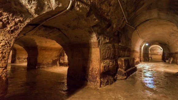 12987200_1135477636502753_4791710263958244933_n