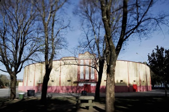 549668_444965675537824_1432621691_n