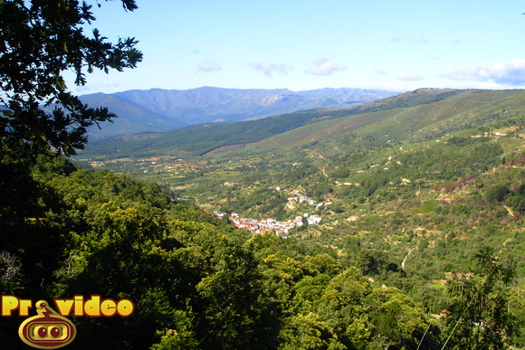 cavaca 5