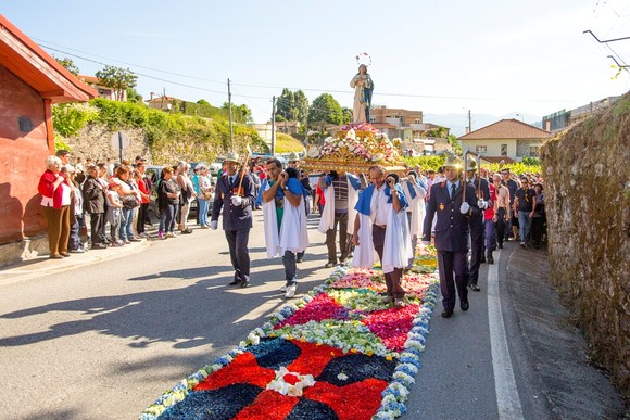 tapetes-002 - Cópia