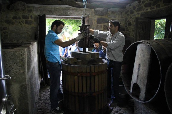 1184805_462258223889136_741167690_n (1)