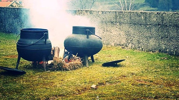 12516178_1242984915731570_1087502917_n