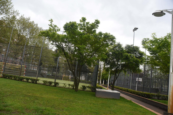 Câmara reforça vocação desportiva do Parque da