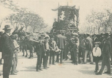 N27_0003_branca_t0-2