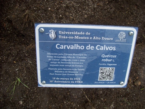 Placa Carvalho de Calvos na UTAD 1