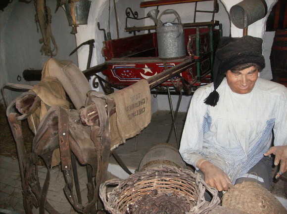 Mafra - Sobreiro (9)