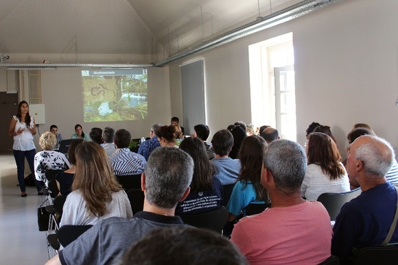 CMB30062015SERGIOFREITAS0000002112