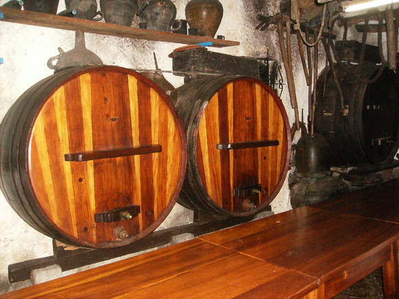 Mafra - Sobreiro (85)