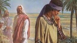 28º Domingo do TC - 14 de outubro.jpg