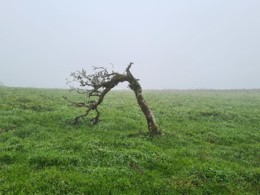 20201223_125901.jpg 20201223_125901.jpg