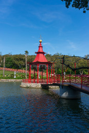 DSC03333.jpg DSC03333.jpg