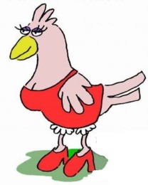 galinha.JPG galinha.JPG