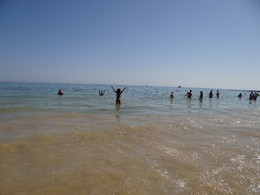 DSC09147.JPG DSC09147.JPG