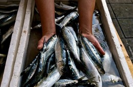 ng4594022.jpg ng4594022.jpg