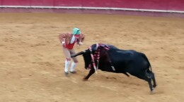 João Madeira - 29.Jun.2024 1º. tentativa.jpeg