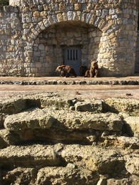 Photo 20-12-15, 11 49 15.jpg Photo 20-12-15, 11 49 15.jpg