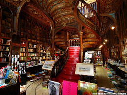 livraria-lello-e-irmÃ£o-wikimedia-9.jpg