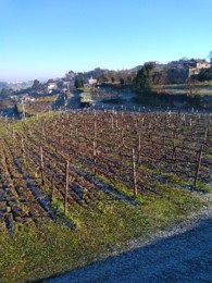 IMG_20210117_103209_BEAUTY.jpg IMG_20210117_103209_BEAUTY.jpg