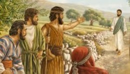 2º Domingo do TC - A - 19 de janeiro.jpg