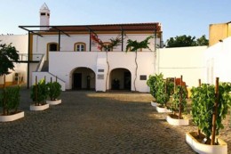 Adega-768x512.jpg Adega-768x512.jpg