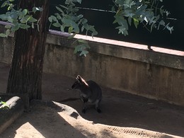 Photo 20-12-15, 12 41 40 (1).jpg Photo 20-12-15, 12 41 40 (1).jpg