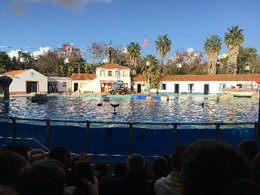 Photo 20-12-15, 15 15 33.jpg Photo 20-12-15, 15 15 33.jpg