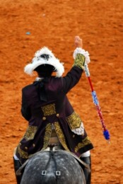 Cavaleiro tauromáquico.jpg