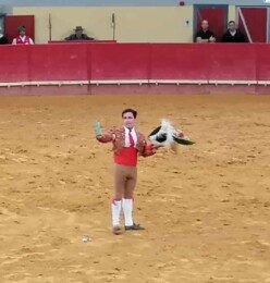 João Madeira 29Junho2024.jpeg