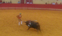 Guga Oliveira-29.06.2019.png