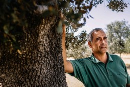 35162495_BINARY_GI27062019IGORMARTINS00120-1024x68