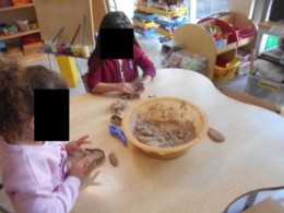 DSCN229511.jpg DSCN229511.jpg