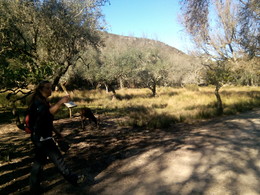 IMG_20151128_112818 (1).jpg IMG_20151128_112818 (1).jpg