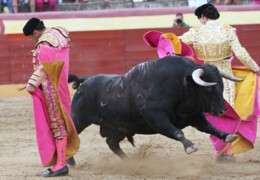 lance al alimón.jpg