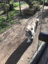 Photo 20-12-15, 12 54 48.jpg Photo 20-12-15, 12 54 48.jpg