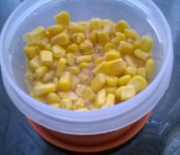 WP_20160128_001.jpg