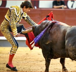 Colhida de Castella em Las Ventas-2.06.2023.jpg