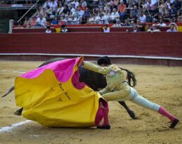 Paco Ramos e Vivaracho-2023 Valencia.webp