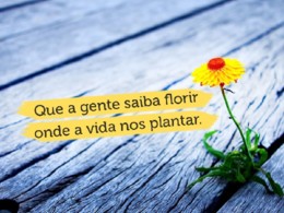 frases-sobre-a-vida-1 (2).jpg